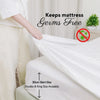 Microfibre Quilted Mattress Protector