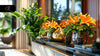 Why Artificial Plants and Flowers Are Ideal for UK Homes