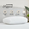 Cotton Box Pillow (Single)
