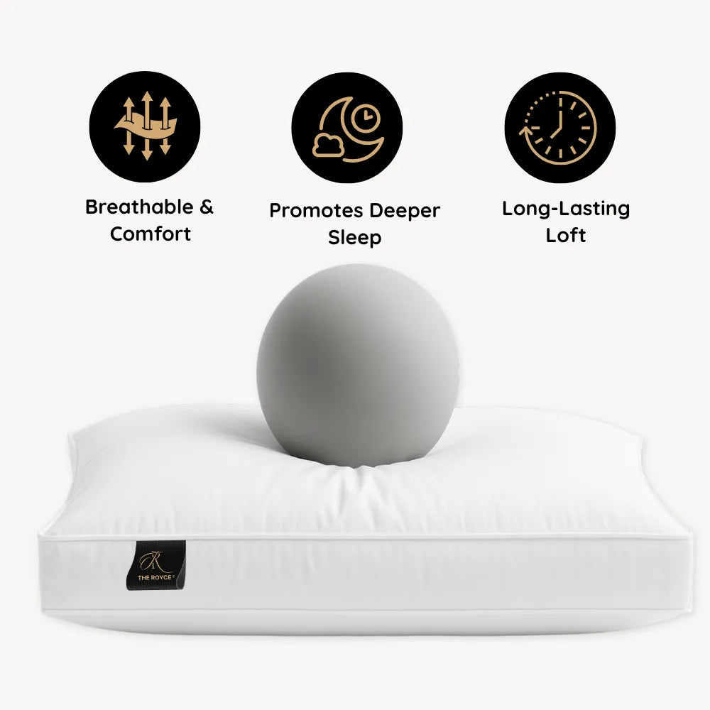 Cotton Box Pillow (Single) - The Royce Furnishings