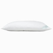 British Wool Bamboo Cotton Pillow