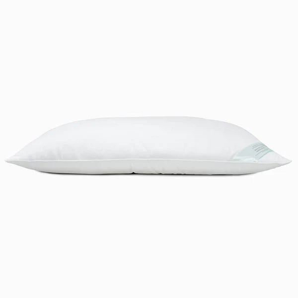British Wool Bamboo Cotton Pillow