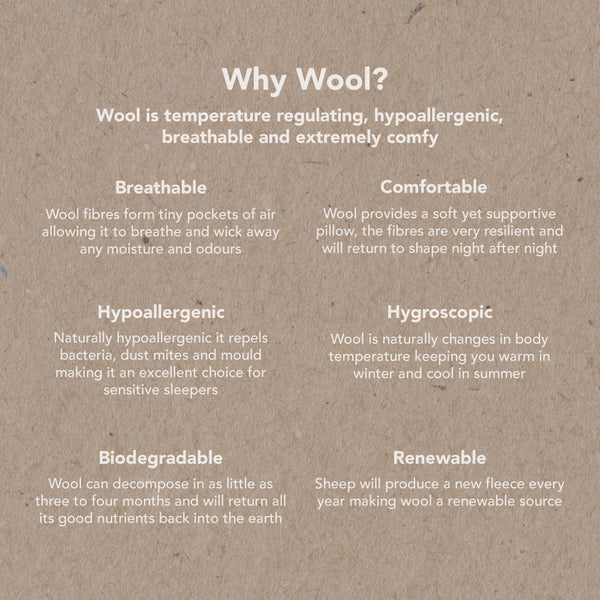 British Wool Cotton Piped Pillow